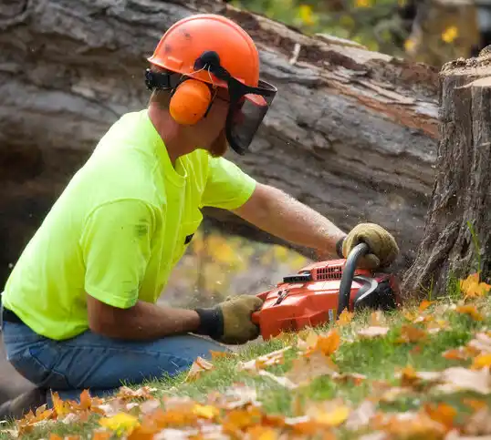 tree services Four Bears Village